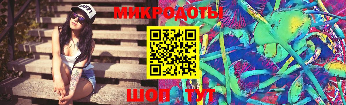 Жуковский  Псилоцибиновые грибы Cubensis  Псилоцибиновые грибы мицелий  Вход с VPN 
